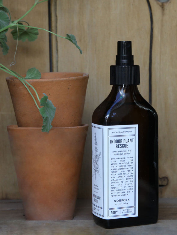 Feed to rescue your indoor plants.